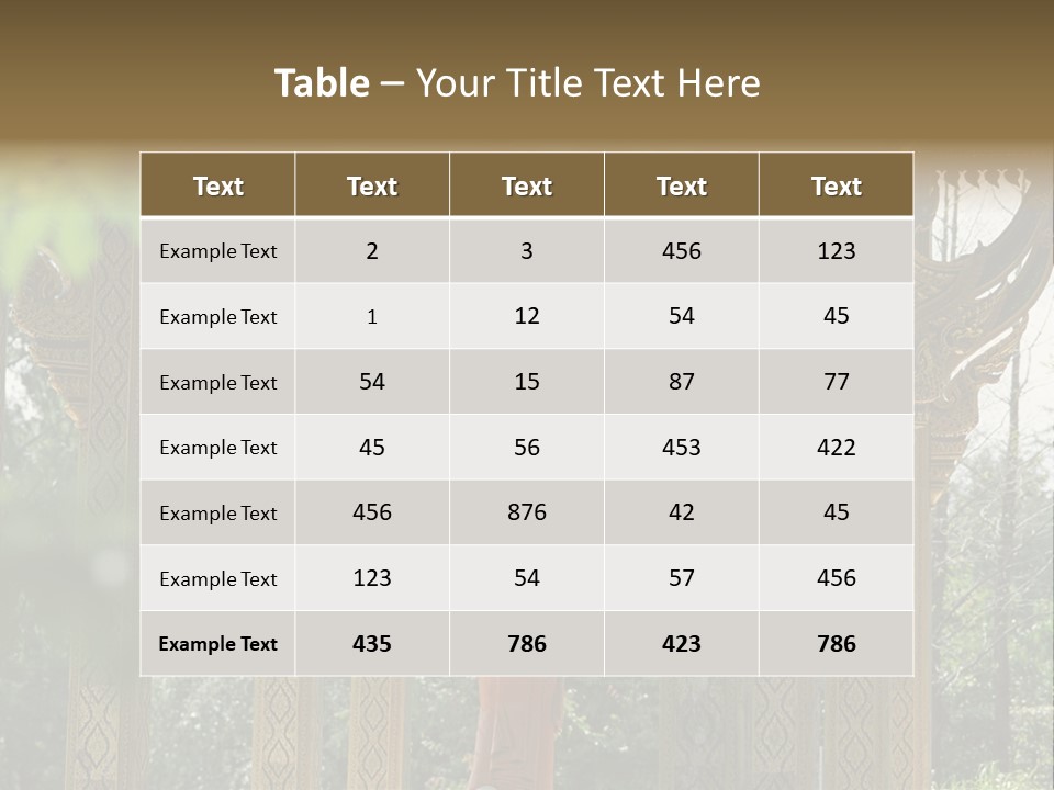 Amusement Park Ride Outdoor Fun Fair PowerPoint Template