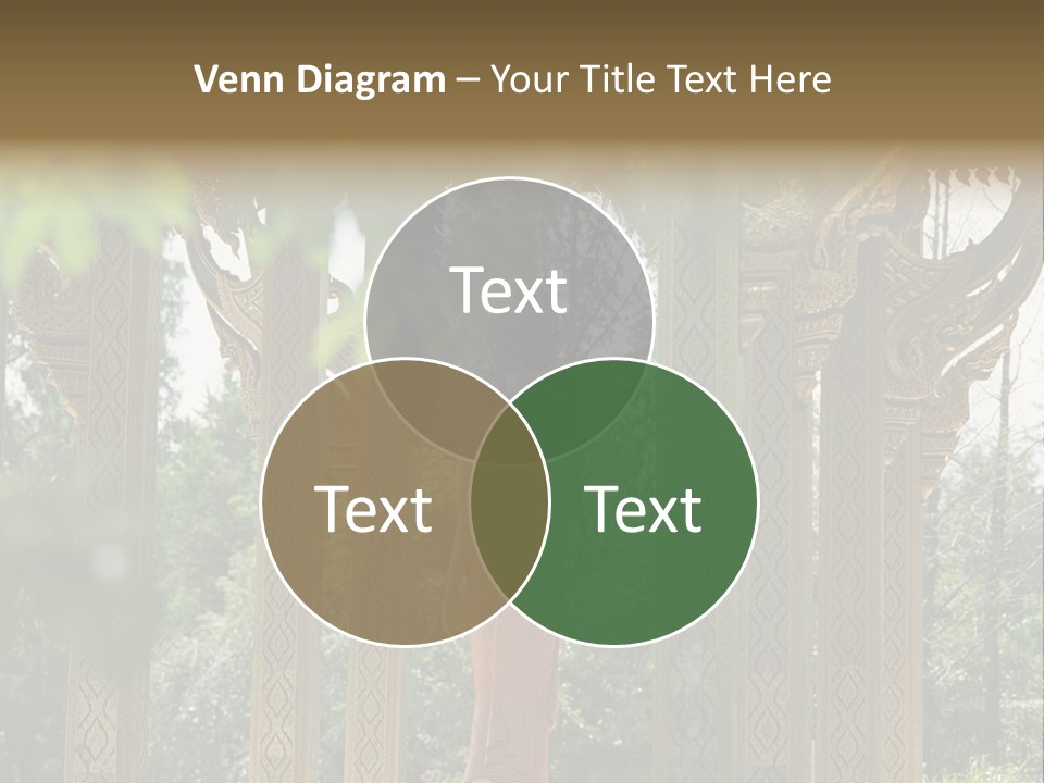 Amusement Park Ride Outdoor Fun Fair PowerPoint Template