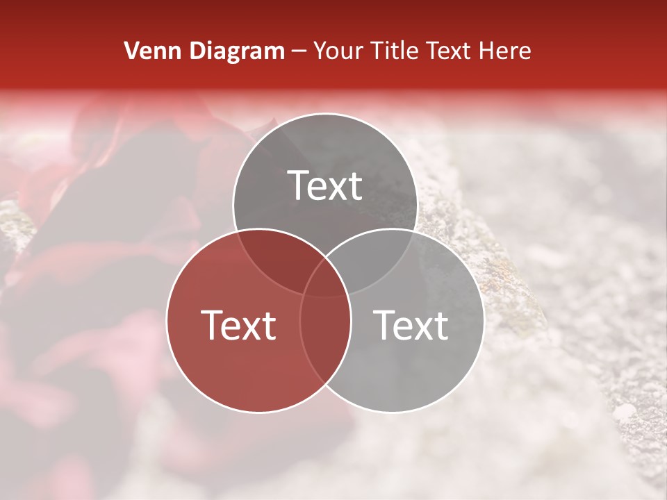 Tradition Evening Illuminated PowerPoint Template