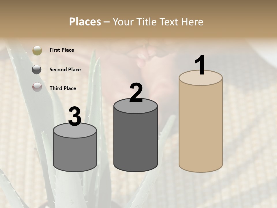 Fairground Funfairs Emotions PowerPoint Template