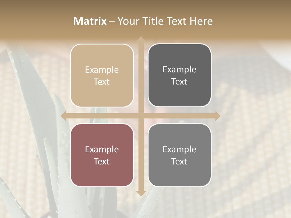 Fairground Funfairs Emotions PowerPoint Template