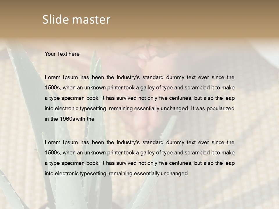 Fairground Funfairs Emotions PowerPoint Template