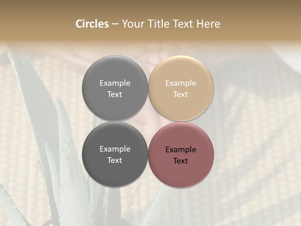 Fairground Funfairs Emotions PowerPoint Template