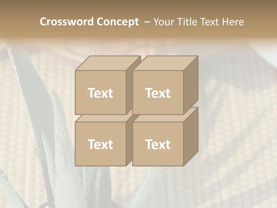 Fairground Funfairs Emotions PowerPoint Template