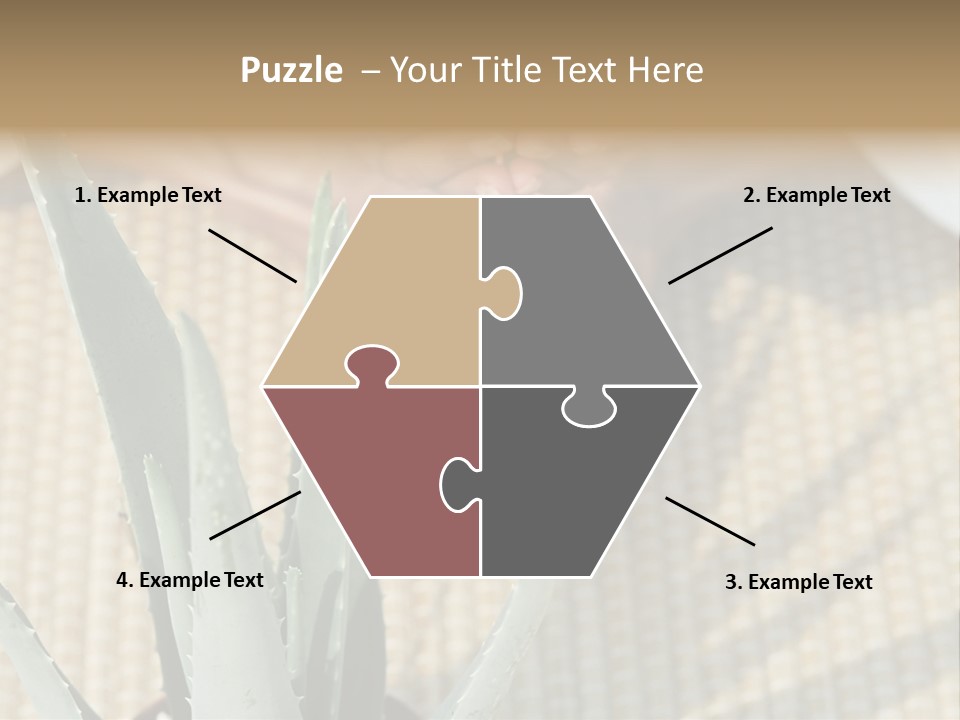 Fairground Funfairs Emotions PowerPoint Template