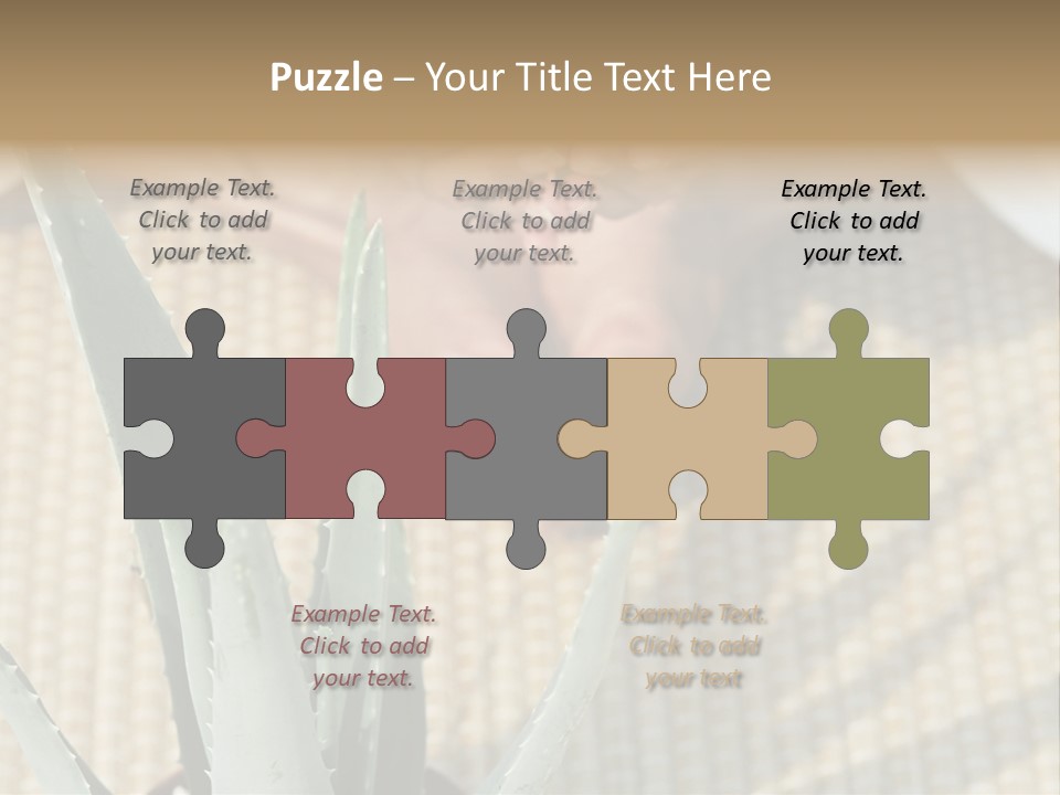 Fairground Funfairs Emotions PowerPoint Template