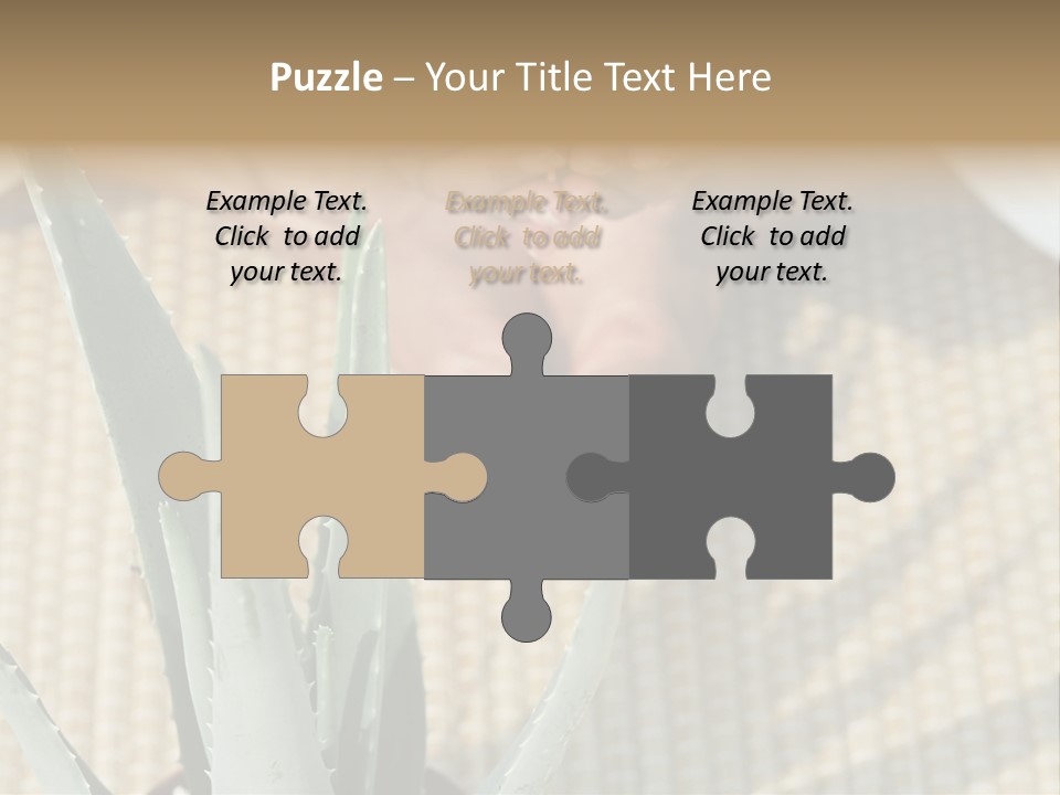 Fairground Funfairs Emotions PowerPoint Template