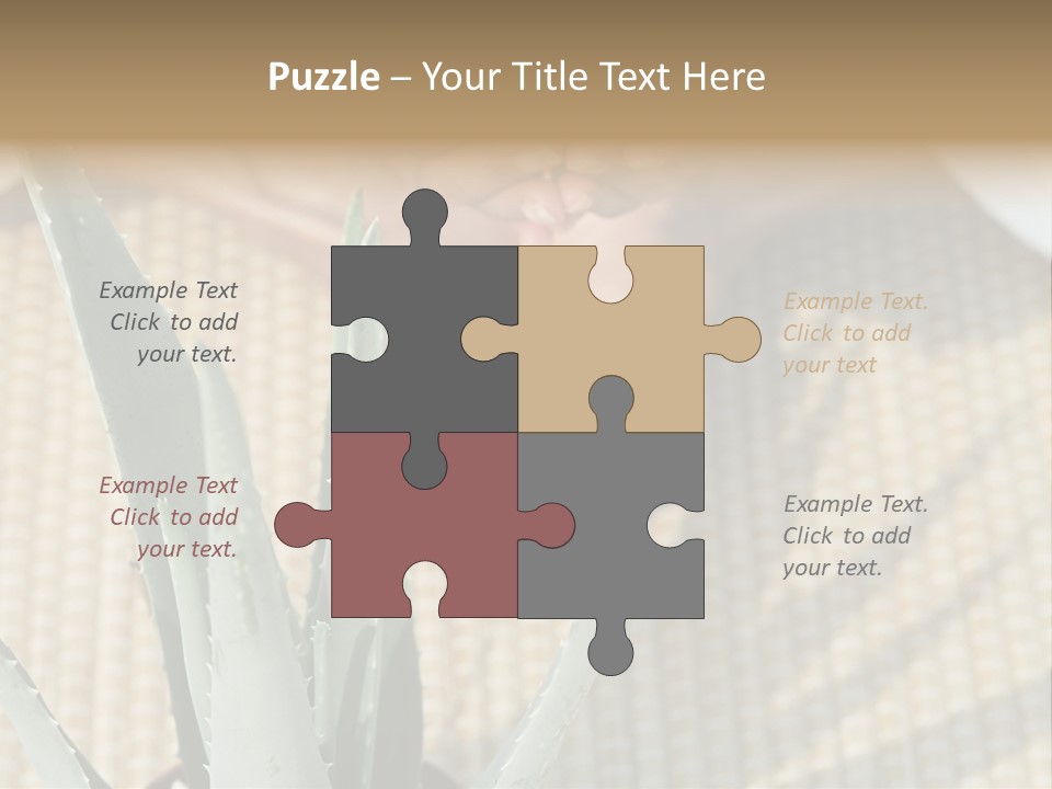 Fairground Funfairs Emotions PowerPoint Template