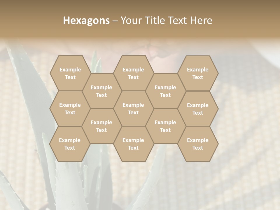 Fairground Funfairs Emotions PowerPoint Template