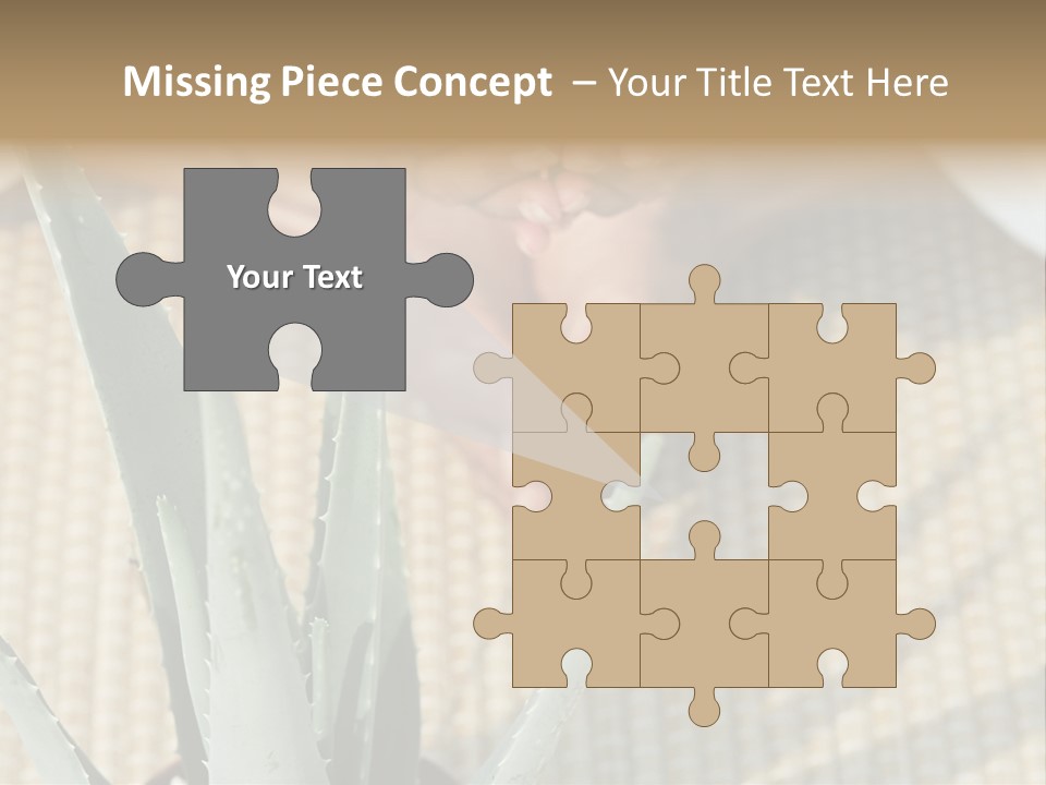 Fairground Funfairs Emotions PowerPoint Template