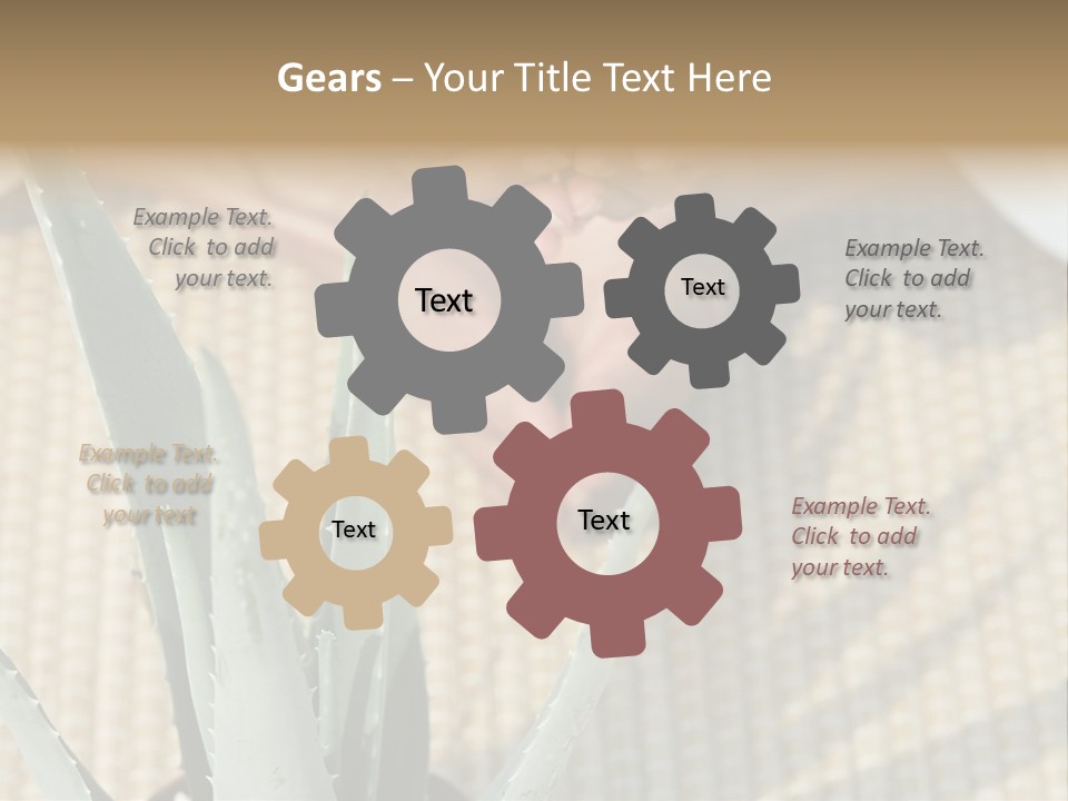 Fairground Funfairs Emotions PowerPoint Template