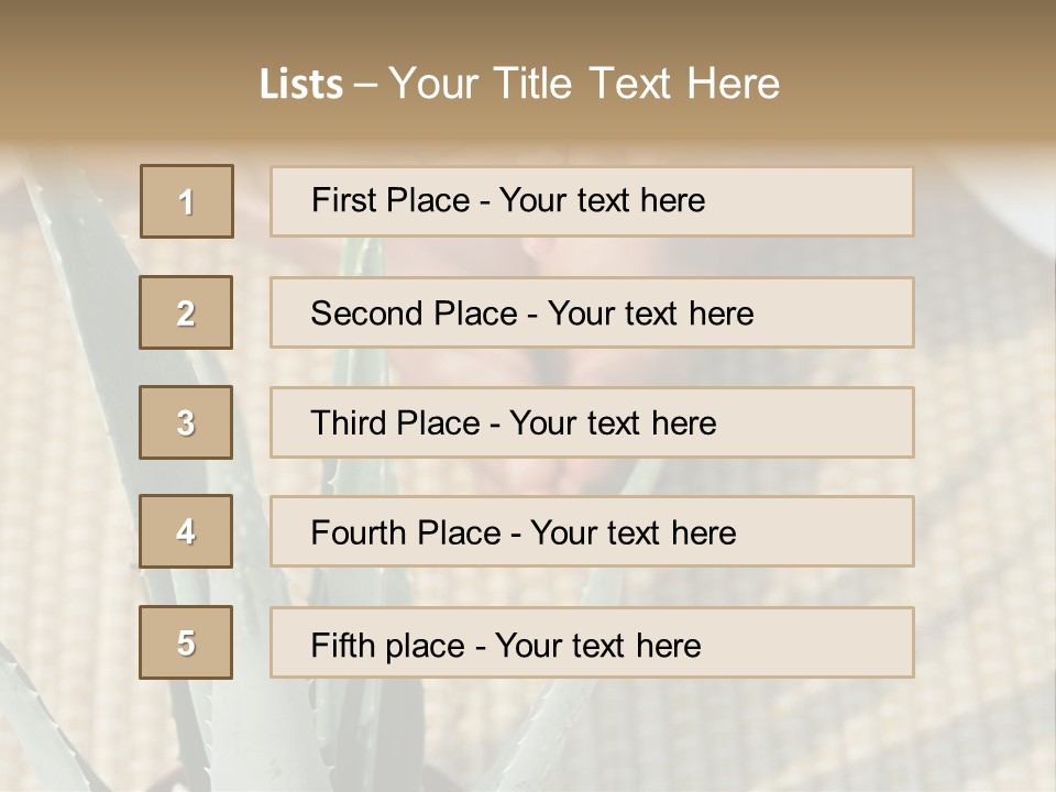 Fairground Funfairs Emotions PowerPoint Template