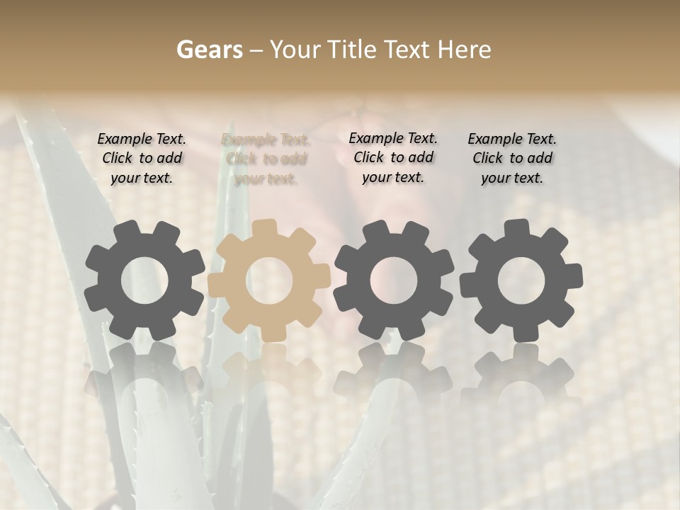 Fairground Funfairs Emotions PowerPoint Template