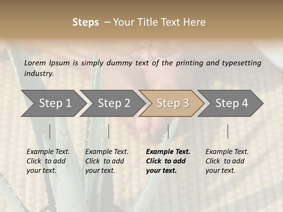 Fairground Funfairs Emotions PowerPoint Template