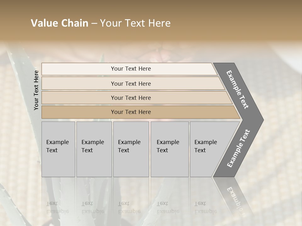 Fairground Funfairs Emotions PowerPoint Template