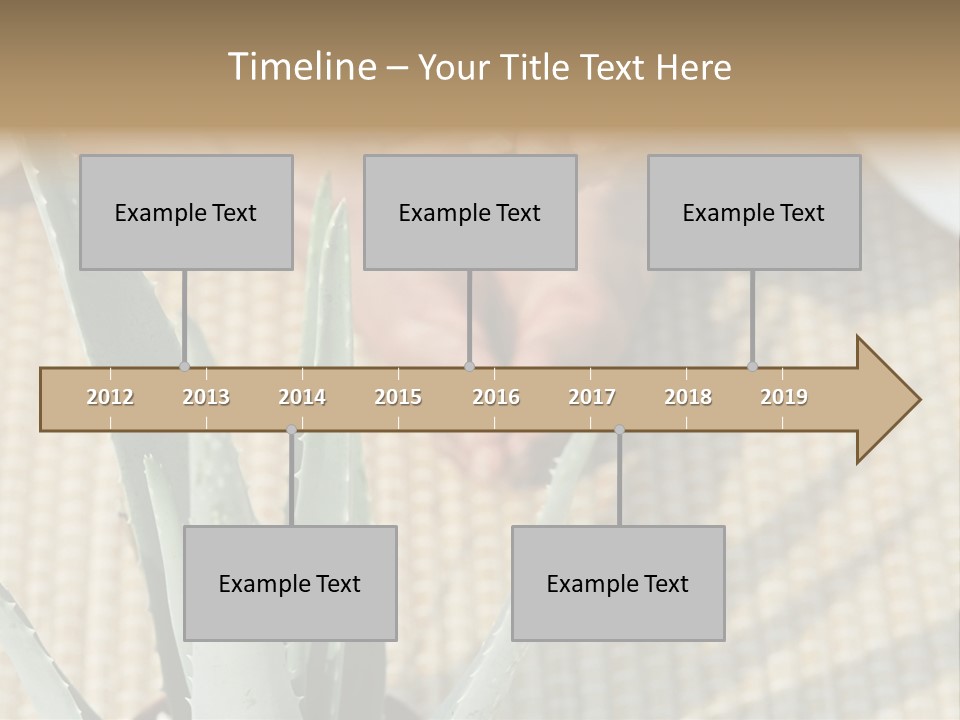 Fairground Funfairs Emotions PowerPoint Template