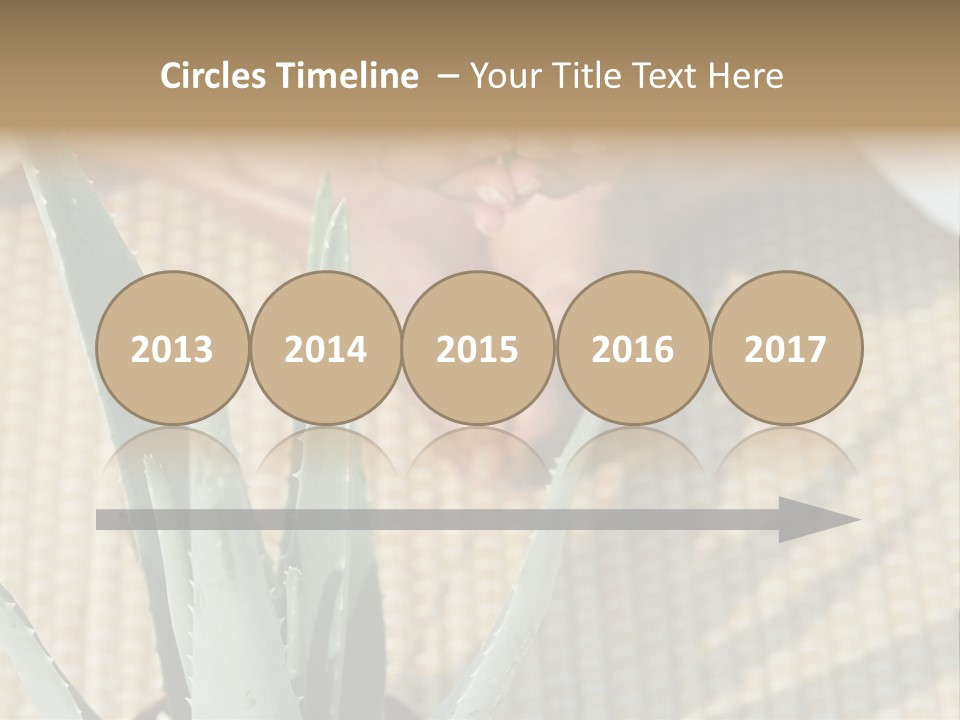 Fairground Funfairs Emotions PowerPoint Template