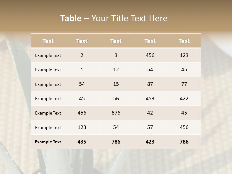 Fairground Funfairs Emotions PowerPoint Template