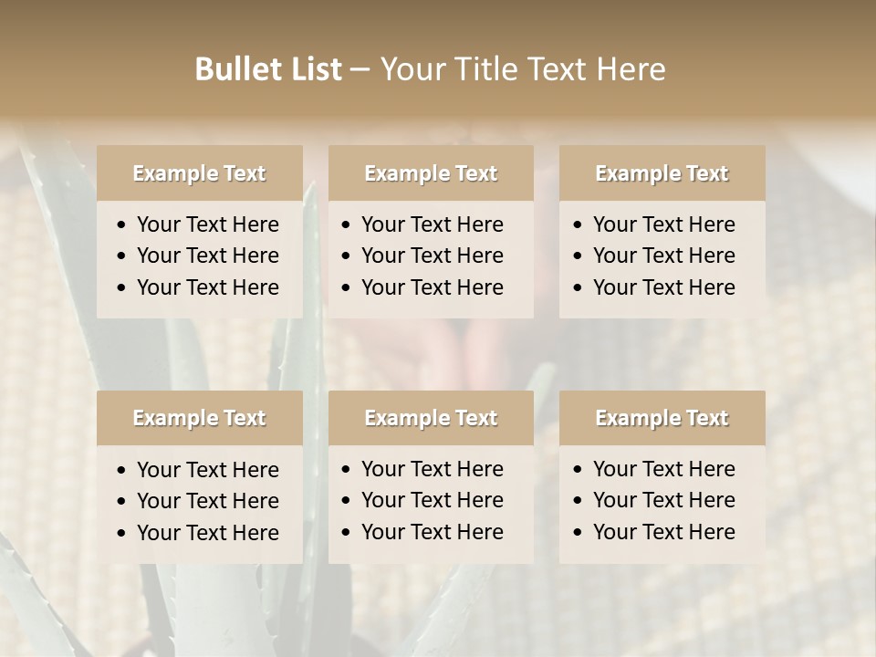 Fairground Funfairs Emotions PowerPoint Template