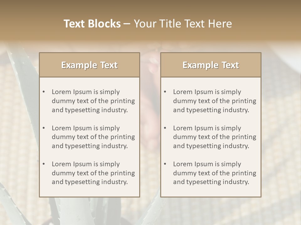 Fairground Funfairs Emotions PowerPoint Template