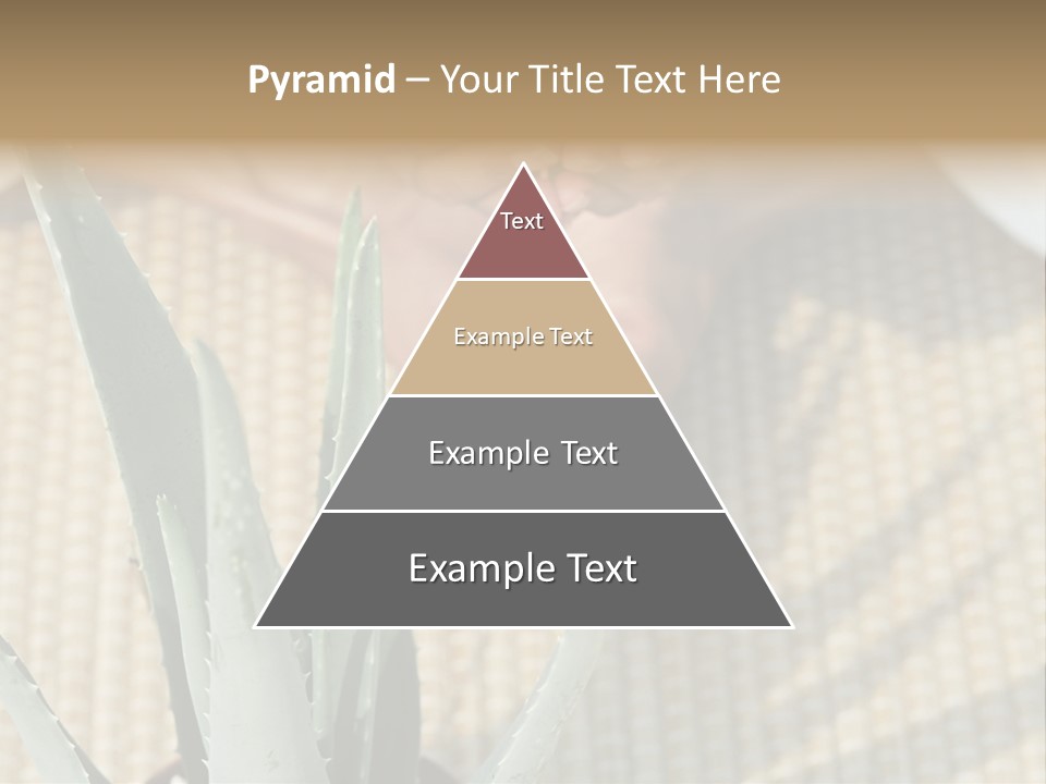 Fairground Funfairs Emotions PowerPoint Template