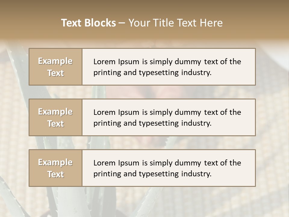 Fairground Funfairs Emotions PowerPoint Template