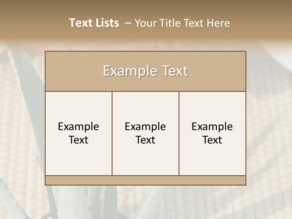 Fairground Funfairs Emotions PowerPoint Template