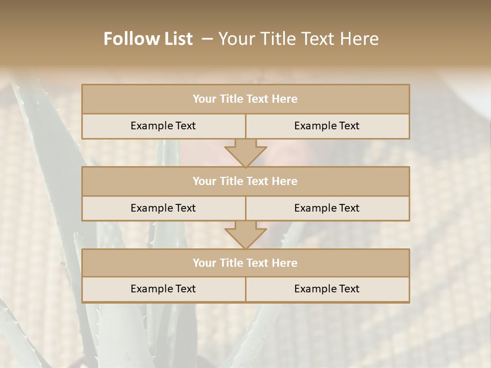 Fairground Funfairs Emotions PowerPoint Template
