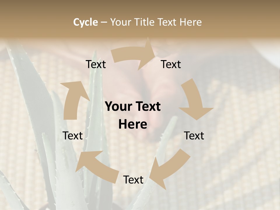 Fairground Funfairs Emotions PowerPoint Template