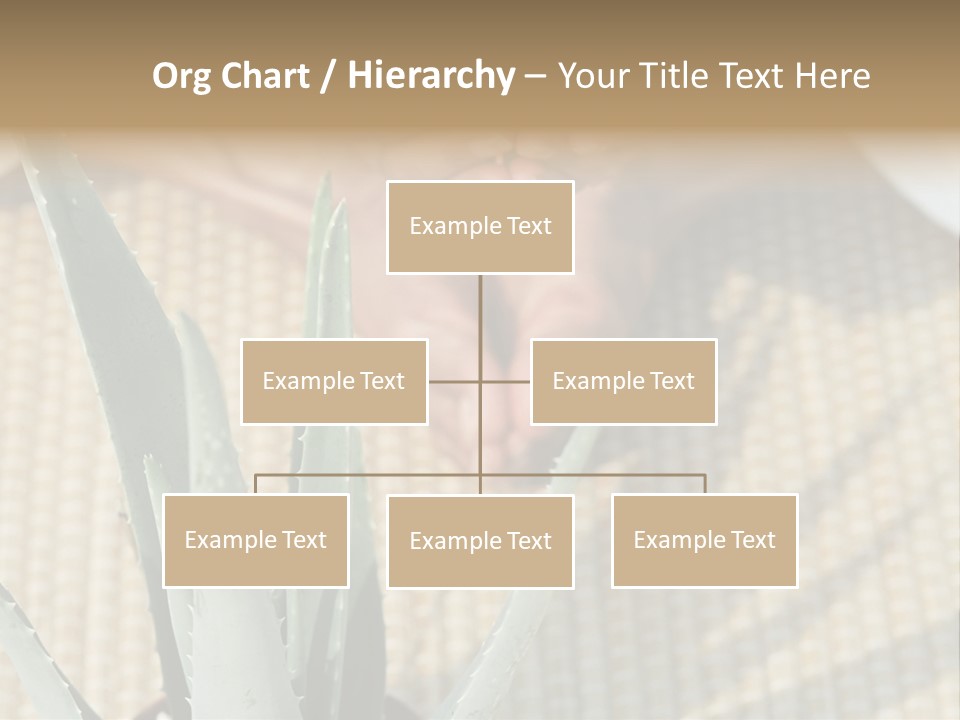 Fairground Funfairs Emotions PowerPoint Template