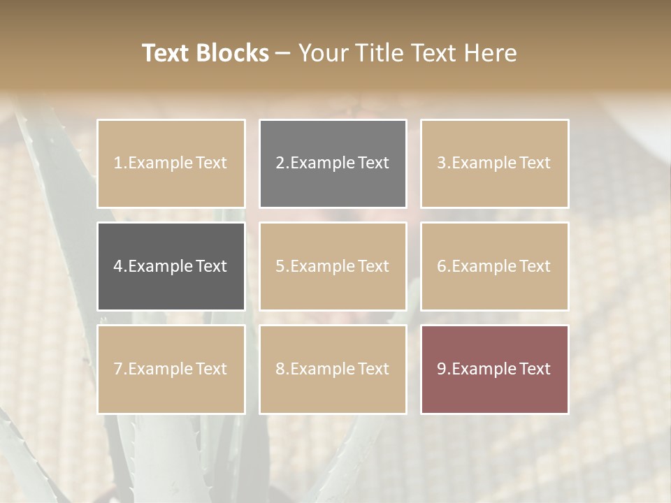Fairground Funfairs Emotions PowerPoint Template