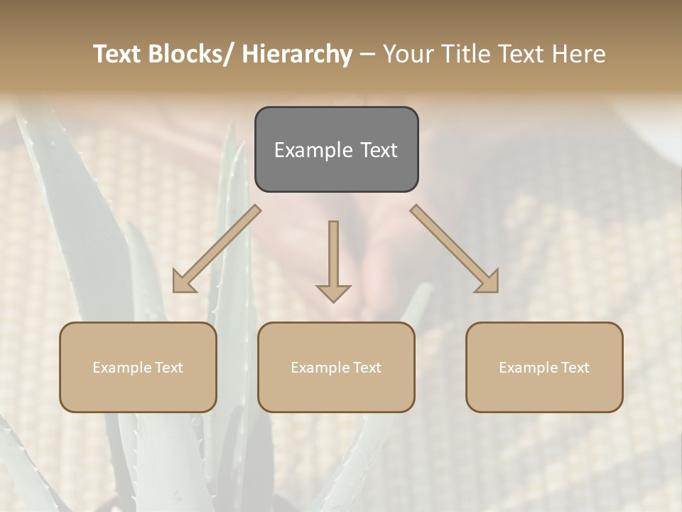 Fairground Funfairs Emotions PowerPoint Template