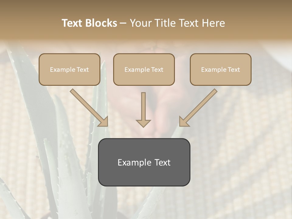 Fairground Funfairs Emotions PowerPoint Template