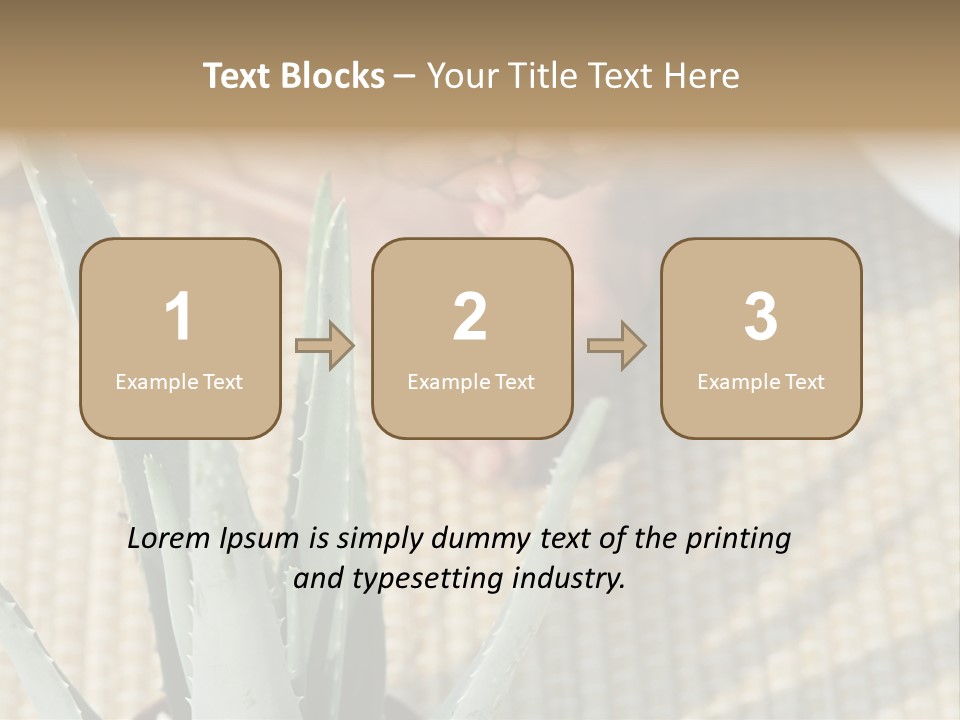 Fairground Funfairs Emotions PowerPoint Template