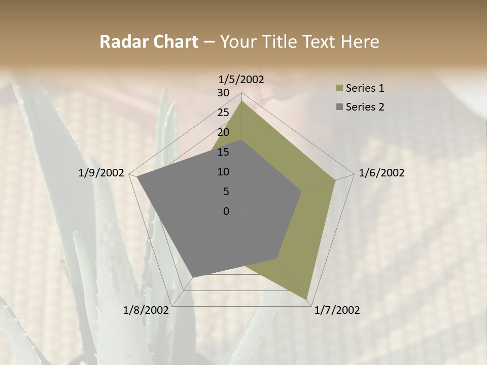 Fairground Funfairs Emotions PowerPoint Template