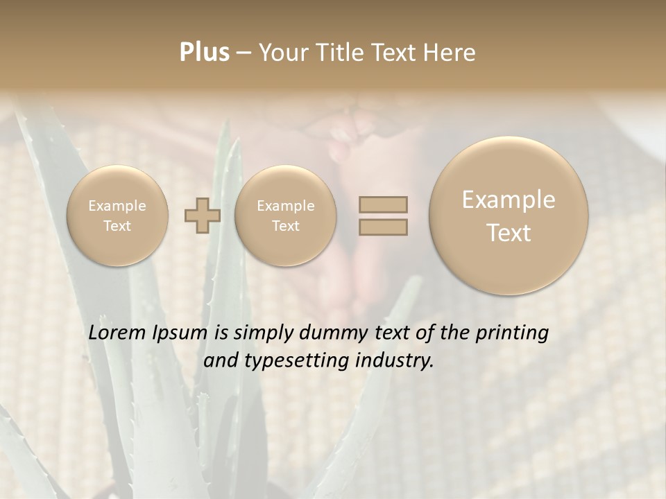 Fairground Funfairs Emotions PowerPoint Template