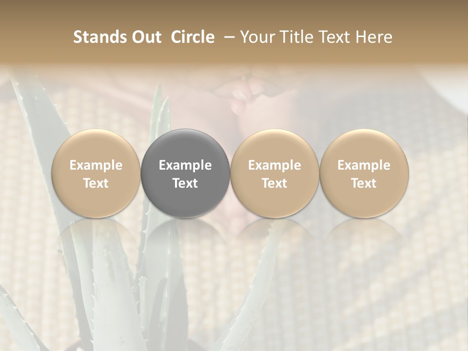 Fairground Funfairs Emotions PowerPoint Template