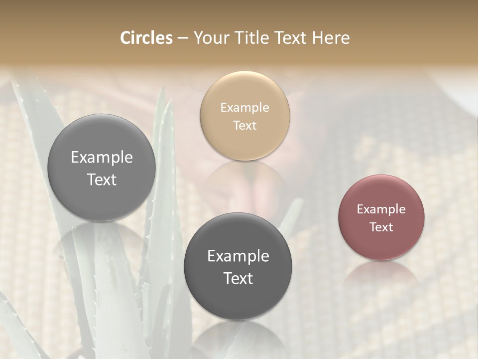Fairground Funfairs Emotions PowerPoint Template