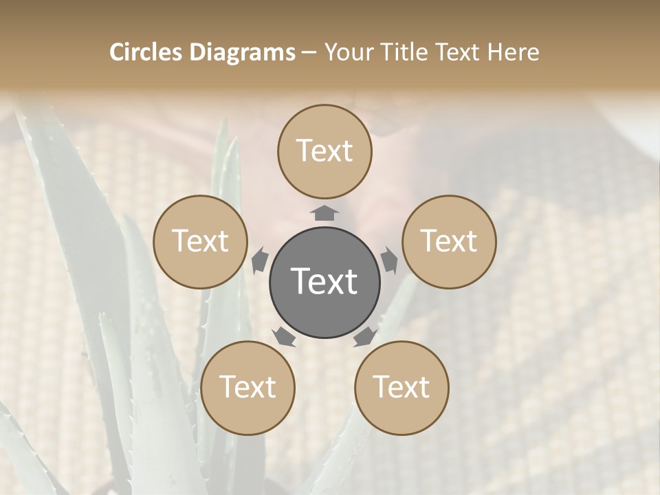 Fairground Funfairs Emotions PowerPoint Template