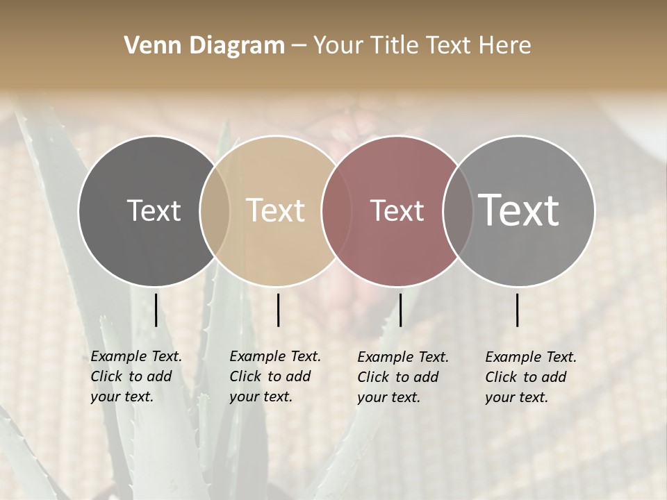 Fairground Funfairs Emotions PowerPoint Template