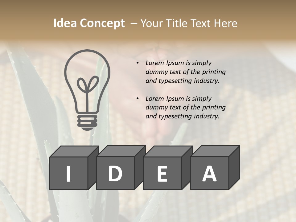 Fairground Funfairs Emotions PowerPoint Template