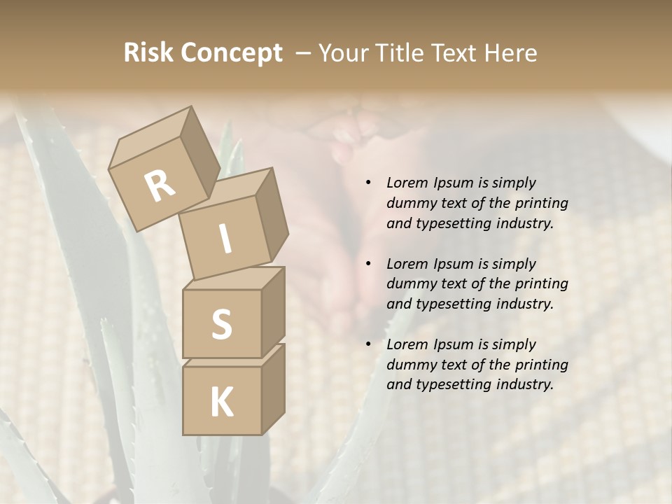 Fairground Funfairs Emotions PowerPoint Template