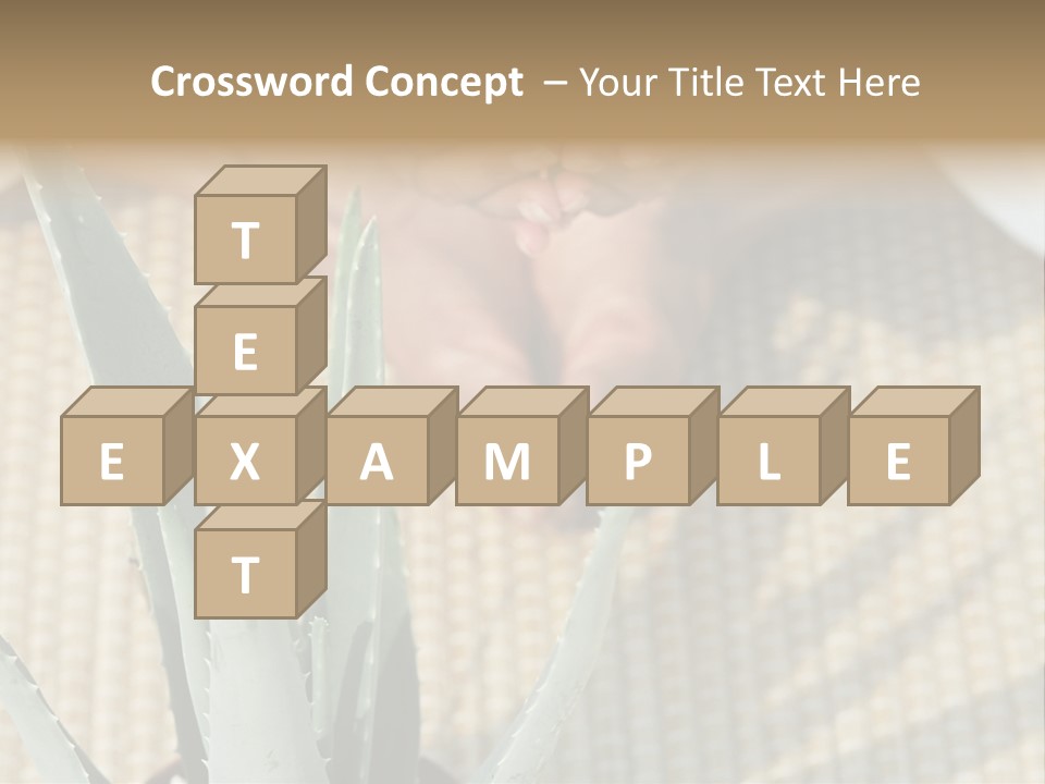 Fairground Funfairs Emotions PowerPoint Template