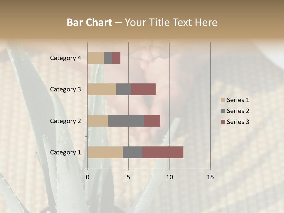Fairground Funfairs Emotions PowerPoint Template