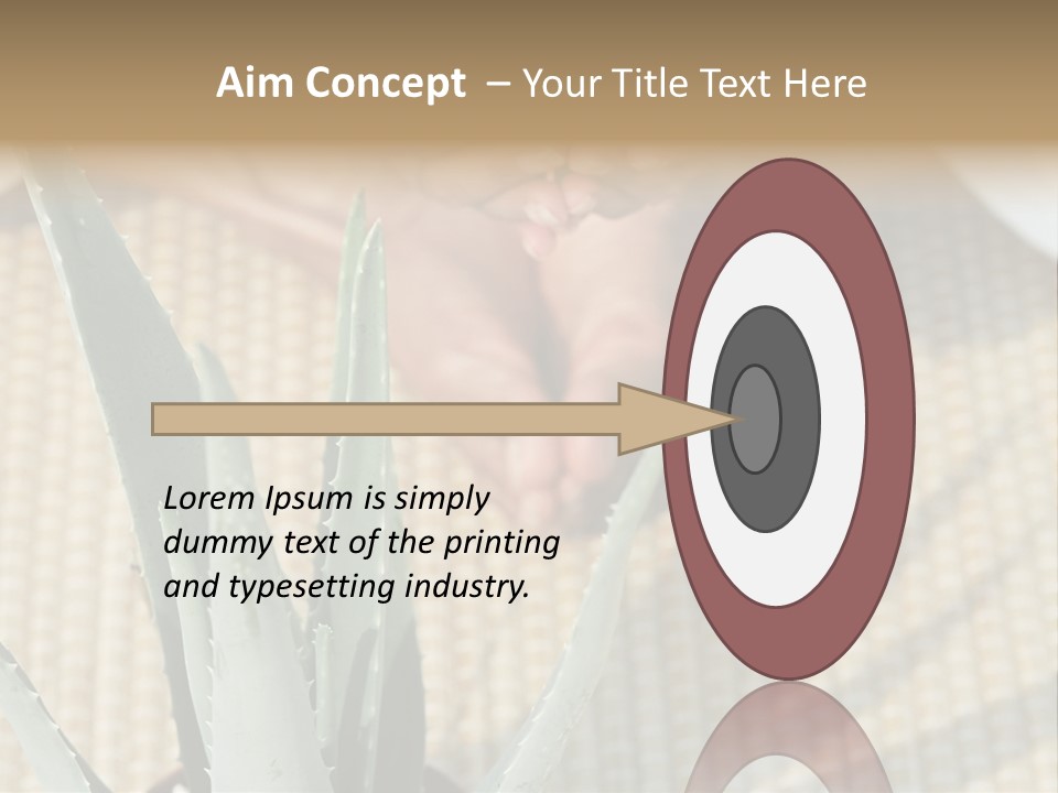 Fairground Funfairs Emotions PowerPoint Template