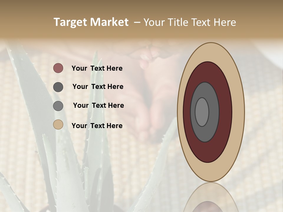 Fairground Funfairs Emotions PowerPoint Template