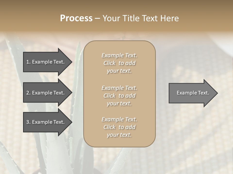 Fairground Funfairs Emotions PowerPoint Template