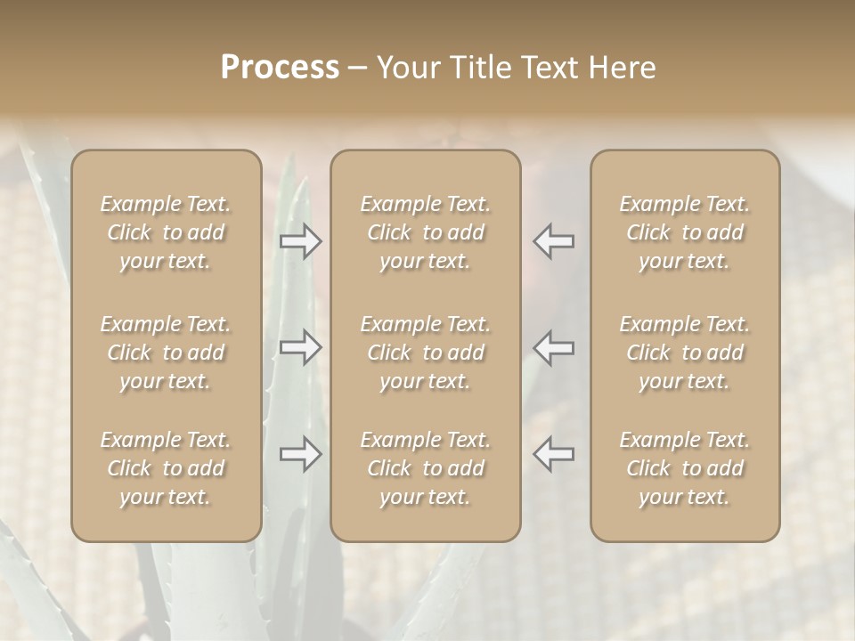 Fairground Funfairs Emotions PowerPoint Template