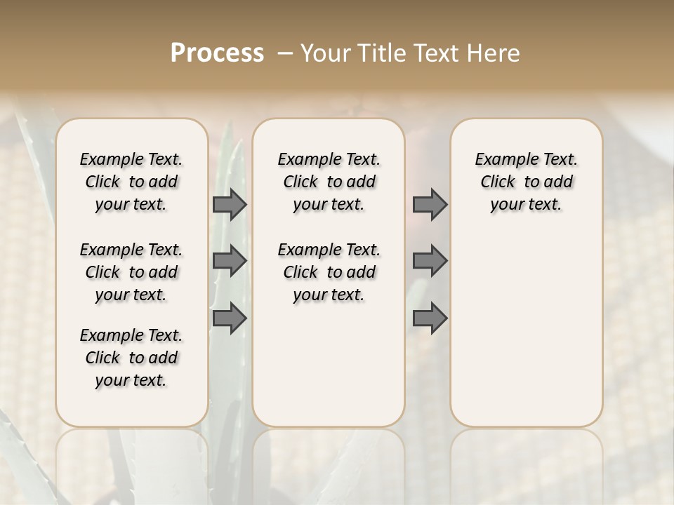 Fairground Funfairs Emotions PowerPoint Template