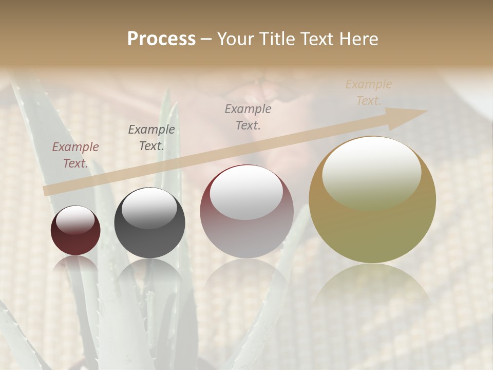 Fairground Funfairs Emotions PowerPoint Template